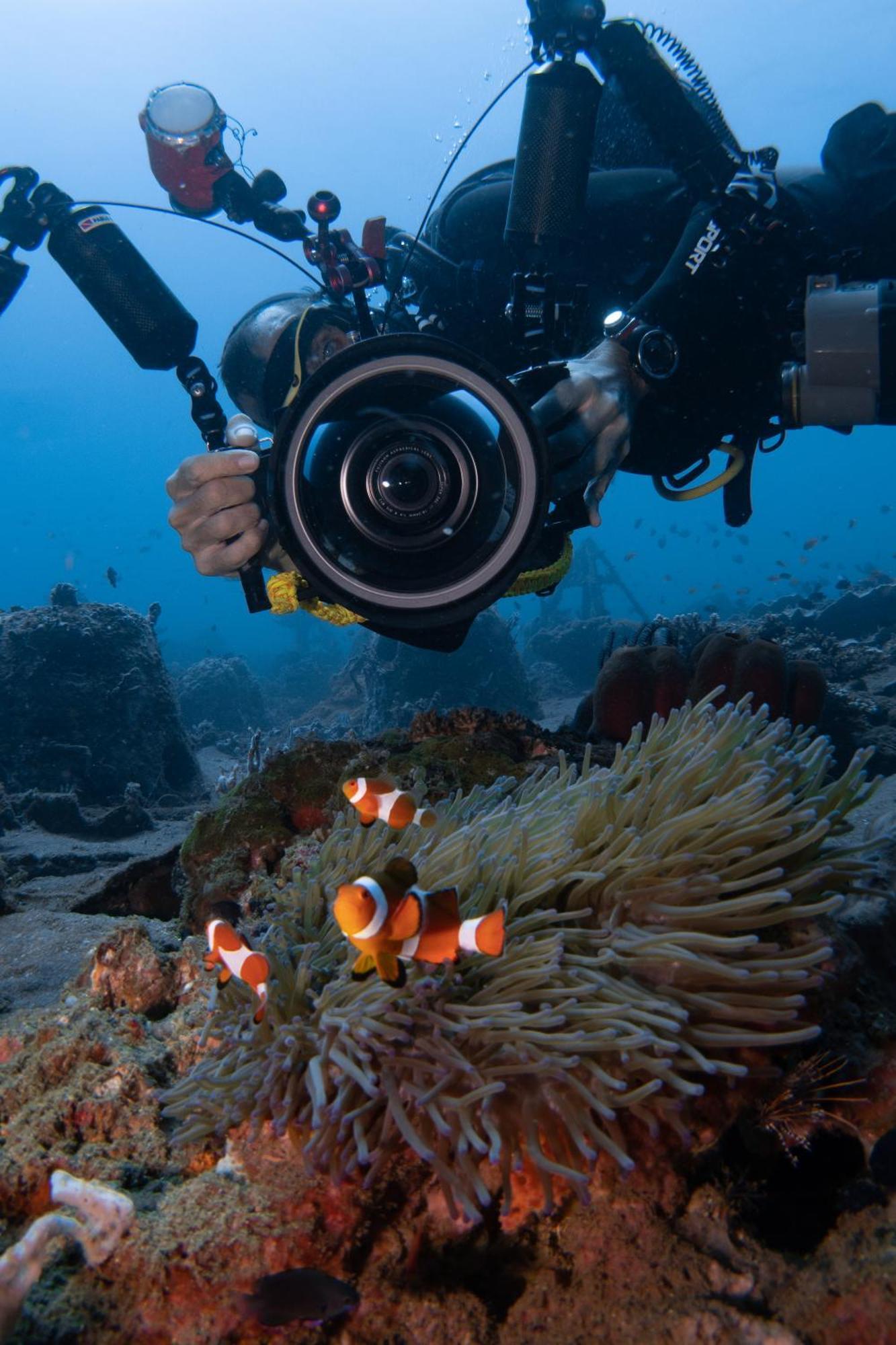 Vitaminsea Room Dauin Eksteriør billede