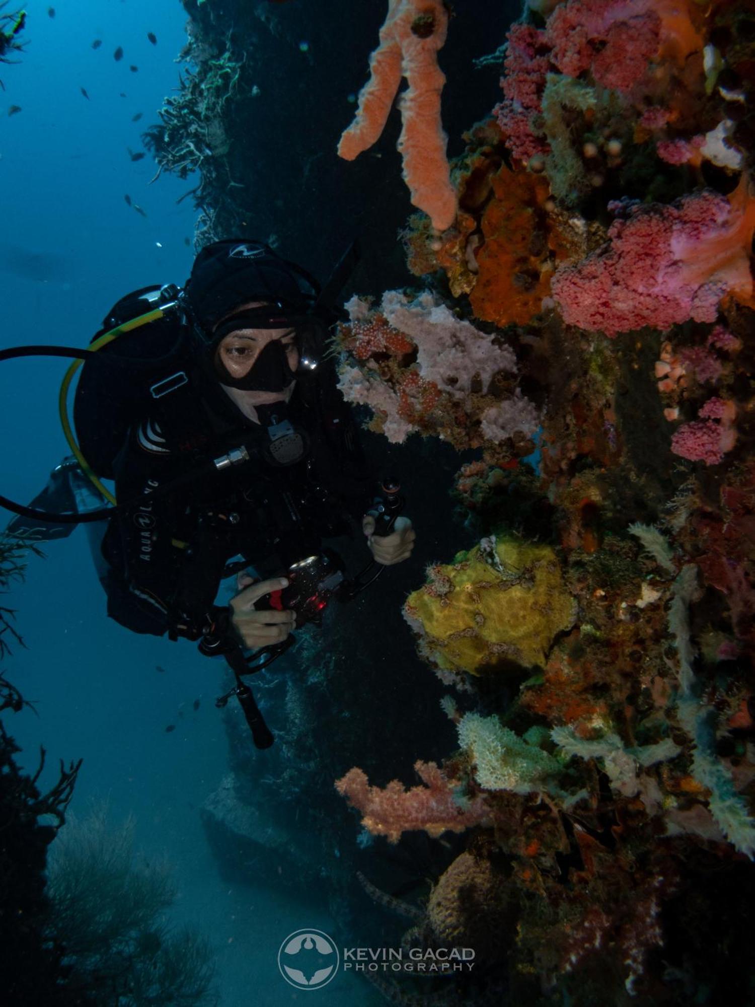 Vitaminsea Room Dauin Eksteriør billede